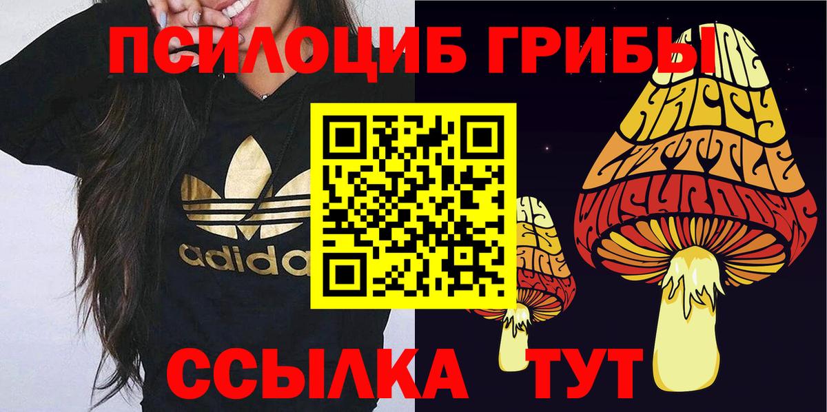 Галлюциногенные грибы Magic Shrooms Видное