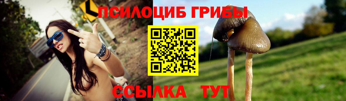 Галлюциногенные грибы мицелий  наркотики  Псилоцибиновые грибы ЛСД  Видное  Вход с VPN 